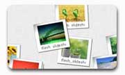 Web Album 03