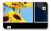 Web Album 04