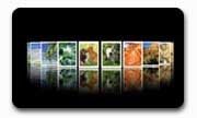 Web Album 06