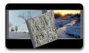 Web Album 08