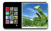 Web Album 09