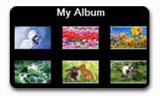 Web Album 17