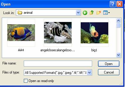 Choose photo image pictures for flash slide show - flash slide shows - slideshow script